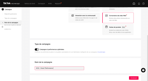 TikTok Ads Campaign Performance