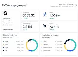 TikTok Ads User Dashboard